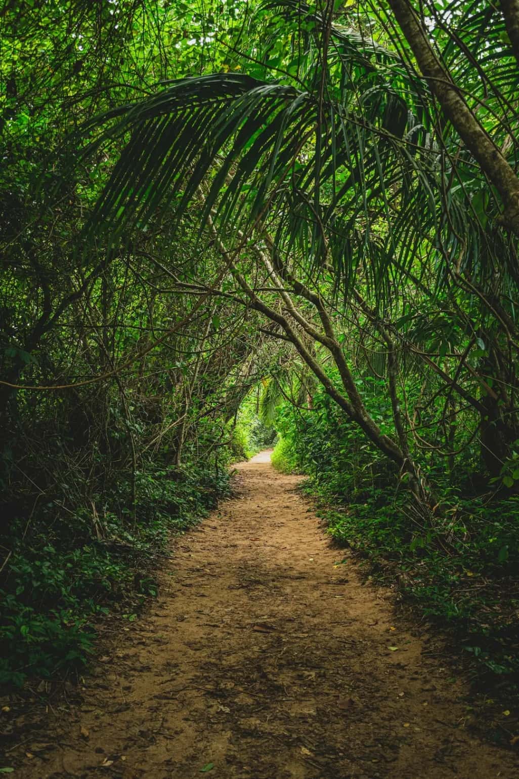 Costa Rica - La Gira De Costa