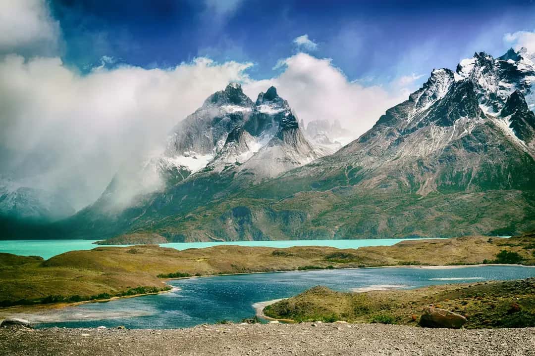 Chile - Monkey Puzzle Trail
