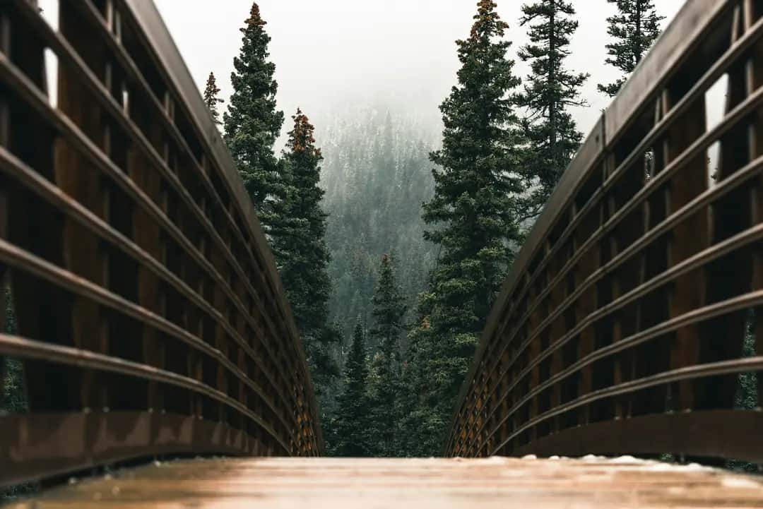 Canada - Kootenay-Miller Pass
